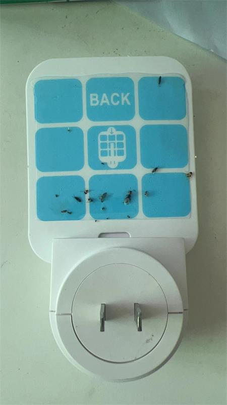 灭蝇子灭苍蝇捕蝇捕捉驱赶神器餐厅饭店商用挂墙诱飞虫驱蚊灯900