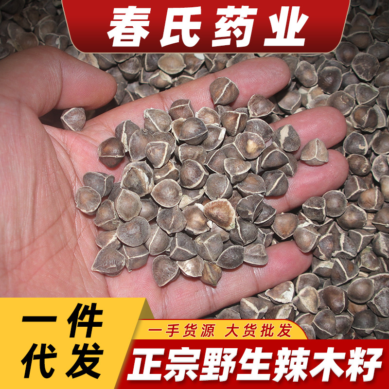 印度大颗粒辣木籽中药材云南散装非洲的作用优质