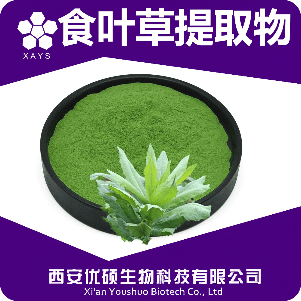 食叶草提取物食叶草粉水溶sc原料生产免费拿样优硕生物植物提取物