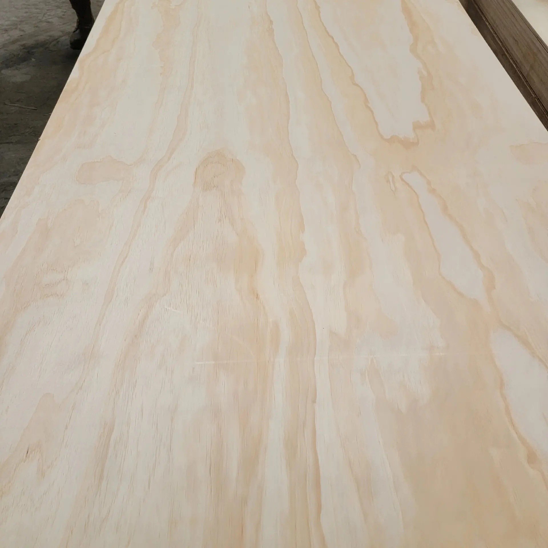 6mm 9mm 12mm双面松木胶合板辐射松包装板 木润木板材 整芯砂光板