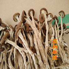 广昌剪根茶树菇新货不开伞500g 新鲜剪脚干茶树菇干货一斤不开膜