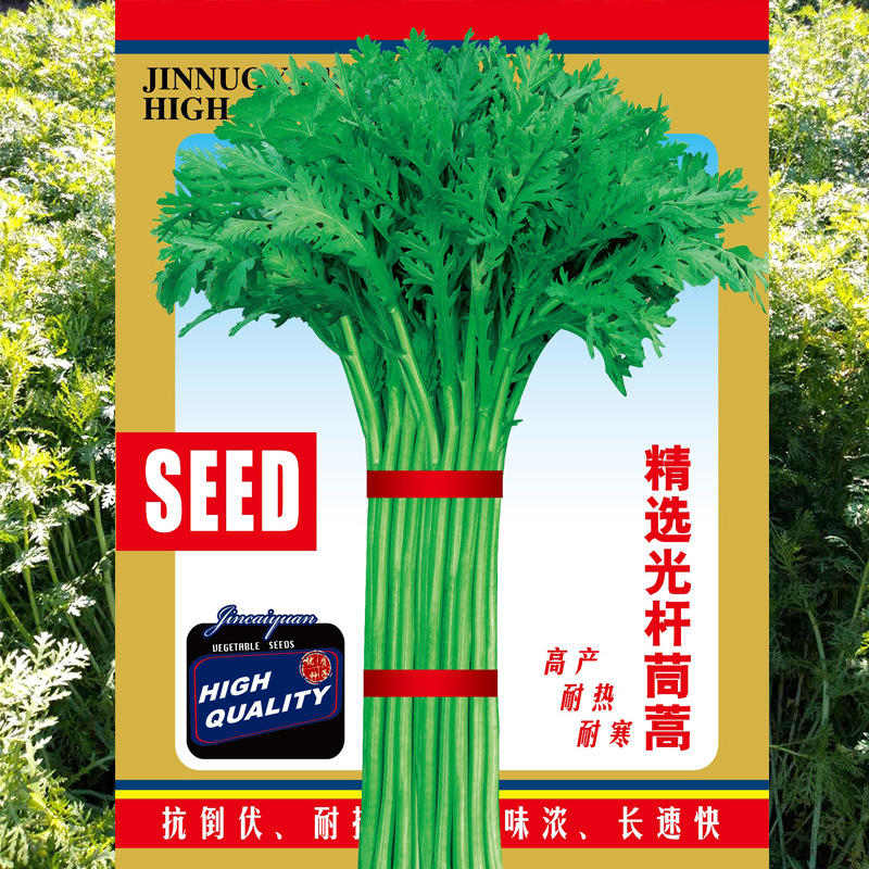 批发光杆茼蒿种子500g袋装农田菜地种植蔬菜种子菜籽公司生长快