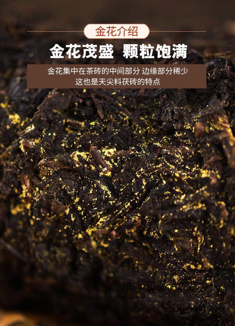 湘丰茶业黑茶湖南安化黑茶天尖金花茯砖茶 茯茶安化金茯黑茶1kg