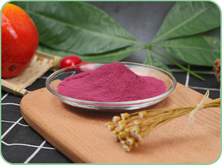 红接骨木粉 优质速溶 红接骨木汁粉 水溶性 红接骨木粉