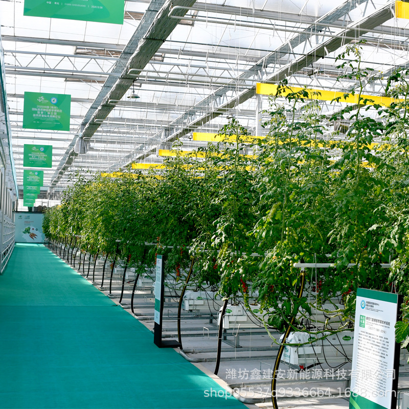 新型蔬菜花卉养殖玻璃温室 草莓种植智能温室 观光展览玻璃温室