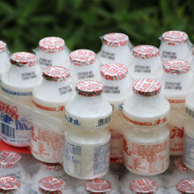 津威酸奶乳酸菌饮料 葡萄糖酸辛乳酸菌饮料每箱