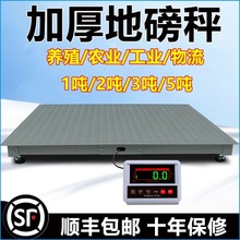 卖猪电子秤