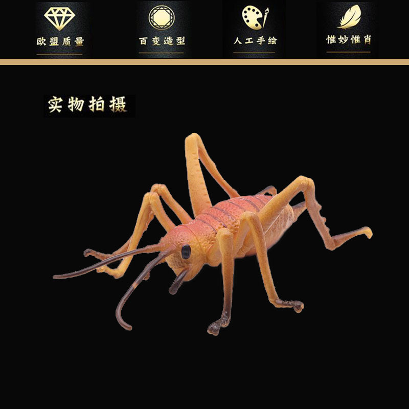 跨境仿真昆虫套装蟋蟀模型 蟋蟀 蛐蛐 儿童早教认知玩具-阿里巴巴
