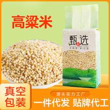 高粱米500g真空包装新米脱壳高梁米高粱仁粗粮批发五谷杂粮高粱米
