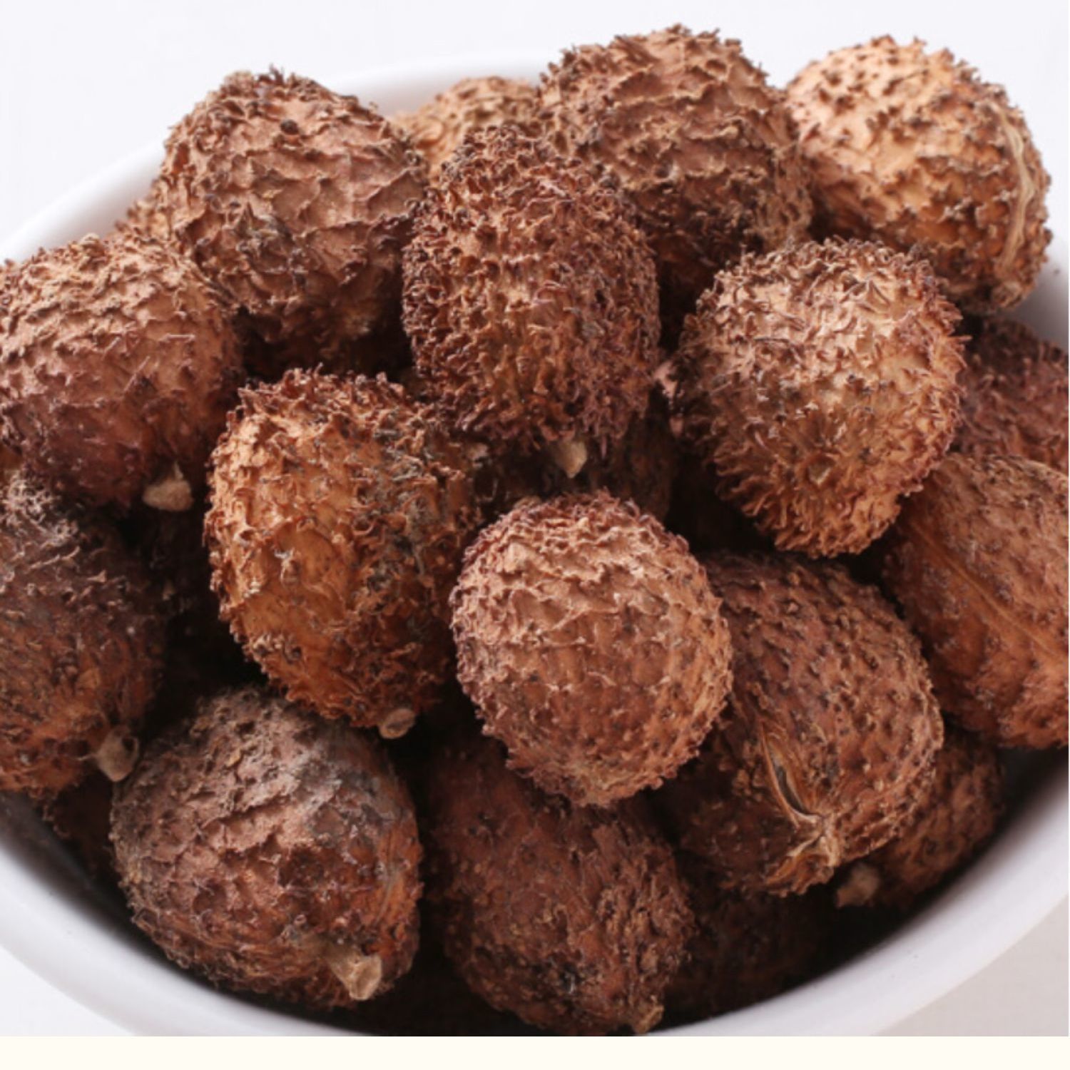 阳春砂仁干果阳春特产砂仁生晒砂仁 滋补阳春沙仁