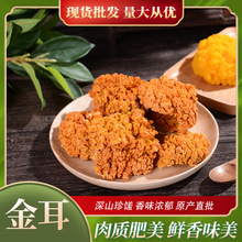 云南特产金耳菌干货黄木耳酒店餐饮食材菌菇食用菌农产品产地货源