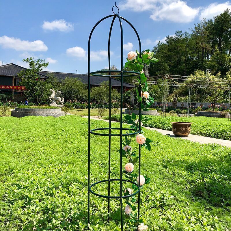铁艺爬藤架花架圆柱花架铁制花支架爬藤架藤月铁线莲柱形花架户外