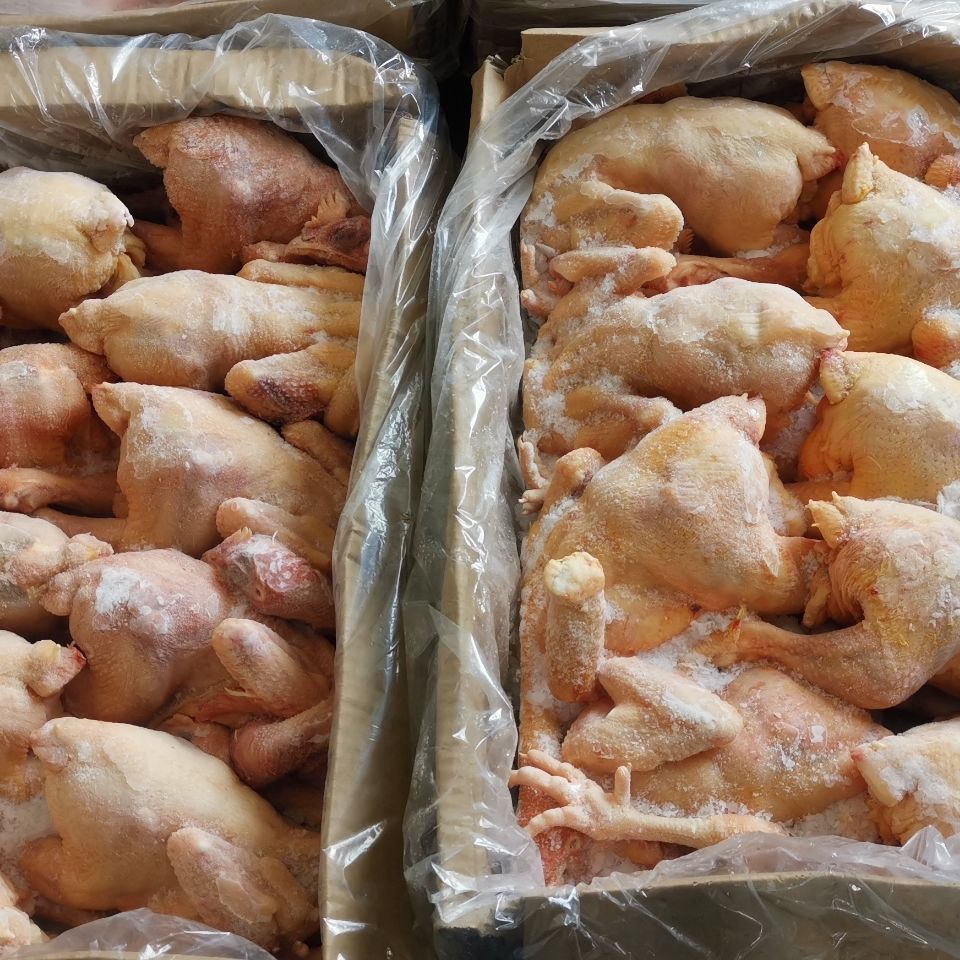 生鲜冷冻三黄鸡散养鸡土鸡二级残鸡整箱19斤厂家直销饭店食堂商用
