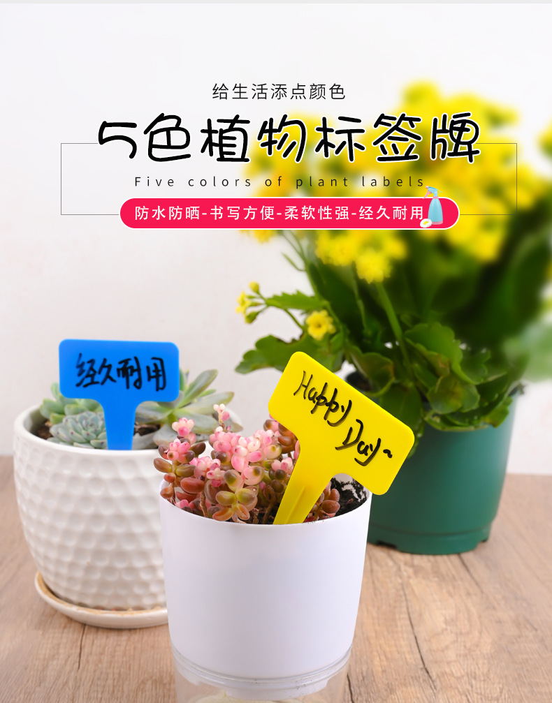 加厚花卉插地牌多肉标签园艺标签植物名称t型标签防水记号牌