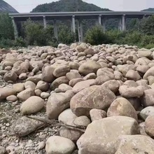安徽产地河道供应水冲石河溪石溪滩石大规格鹅卵石，园林景观专业