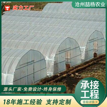 新型智能温室大棚 暖棚 大棚骨架钢管全套 农业温室大棚 菜棚