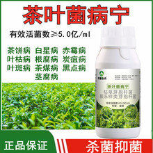 茶叶专用药炭疽病轮斑病叶枯病叶斑病茶饼病茶树专用杀菌剂非农药