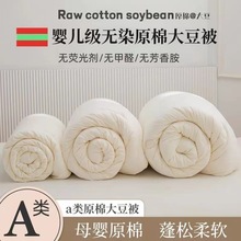 婴儿级A类原棉大豆纤维被全棉春秋被芯加厚冬被四季通用纤维被子