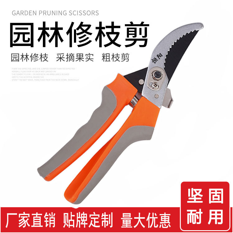 修枝剪果树省力粗枝修剪刀园林花卉绿化木工嫁接专业树枝剪刀工具