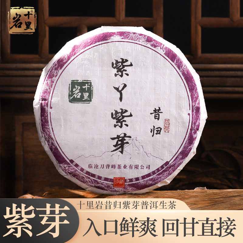 紫茶云南普洱茶 昔归古树纯料普洱生茶 紫丫紫芽 200g 源头厂家