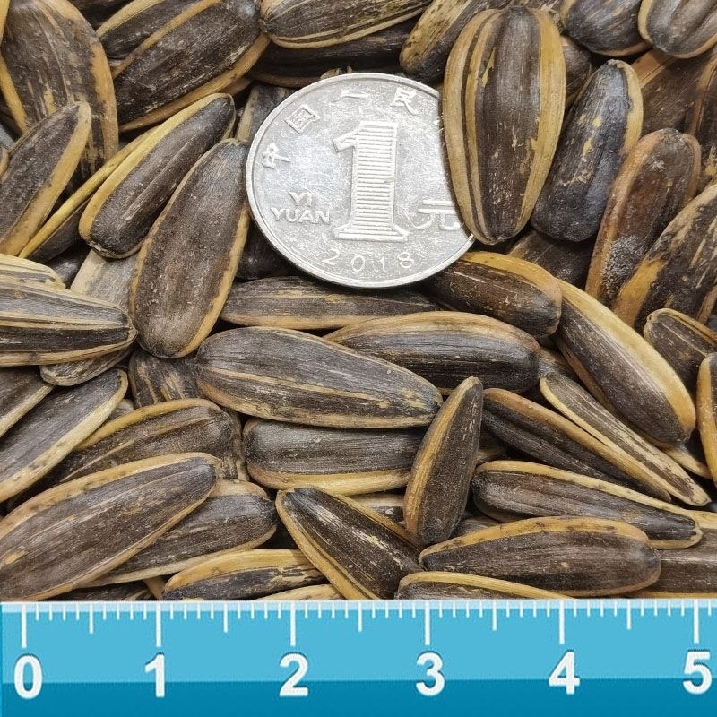 夏威夷果 散装山核桃味瓜子红枣焦糖奶油5大葵花籽整箱批发炒年货