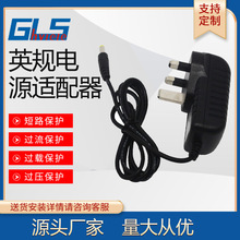 插墙式5V1A 5V2A 9V1A 24V0.5A英规电源适配器美规欧规12W电源