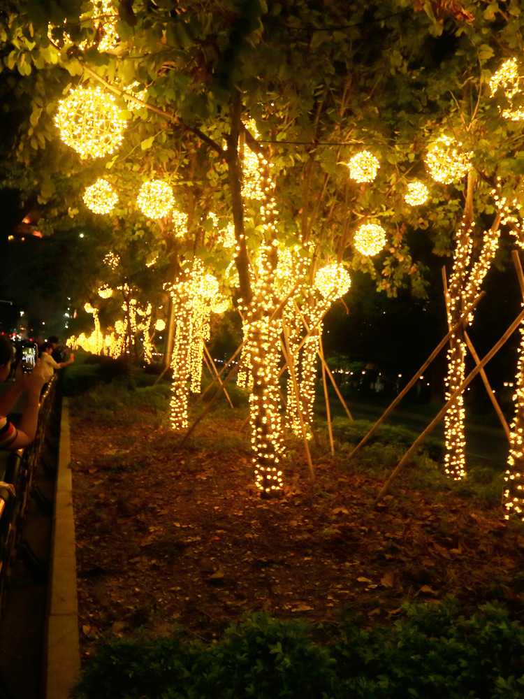 led彩灯闪灯串灯满天星户外亮化防水装饰公园街道挂树圆球藤球灯