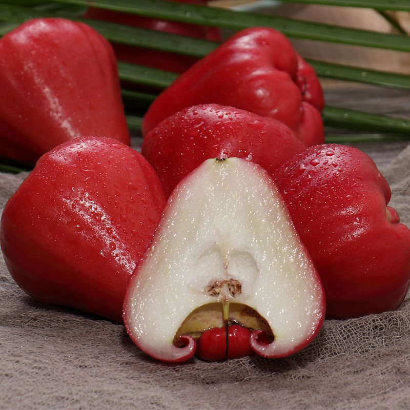 海南三亚莲雾当应季新鲜热带水果现摘孕妇莲雾果一整箱批发包邮