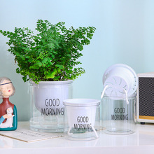 自动吸水透明懒人盆厂家直销创意圆形办公室桌面绿植水培塑料花盆