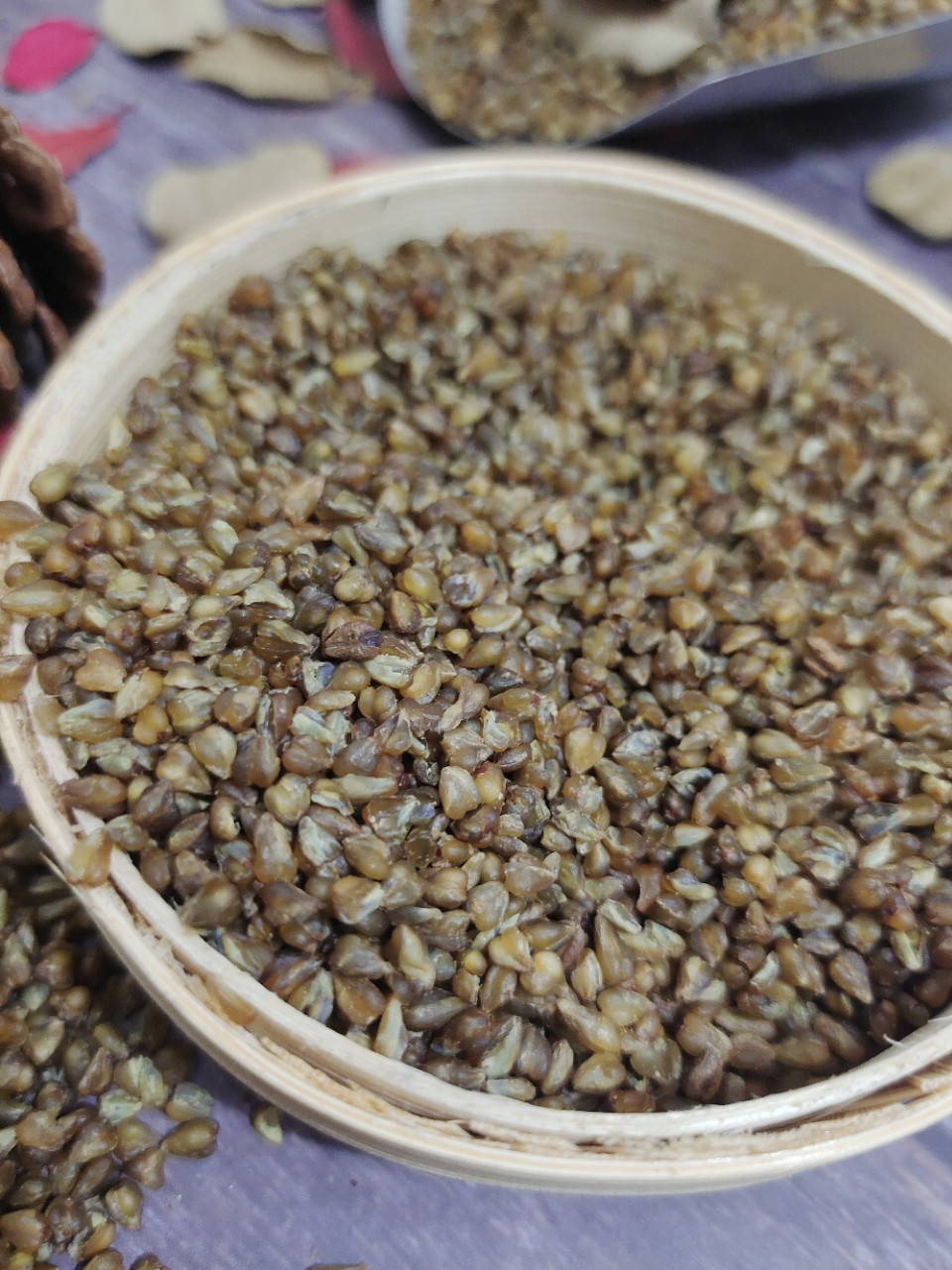 云南高山黑苦荞生苦荞茶胚芽茶正品乔荞麦茶苦芥茶500g代发包邮