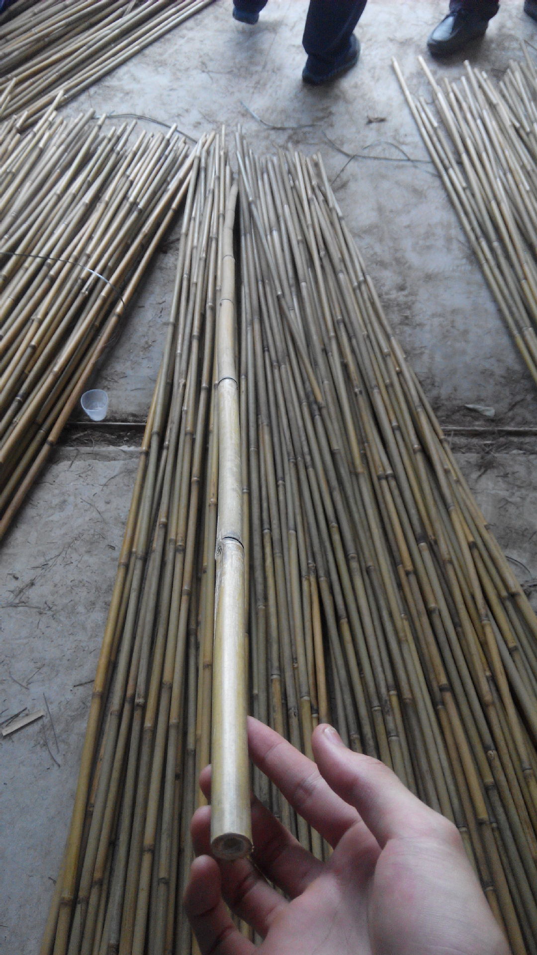 竹竿 厘竹 花园竹枝 外销欧美出口-阿里巴巴