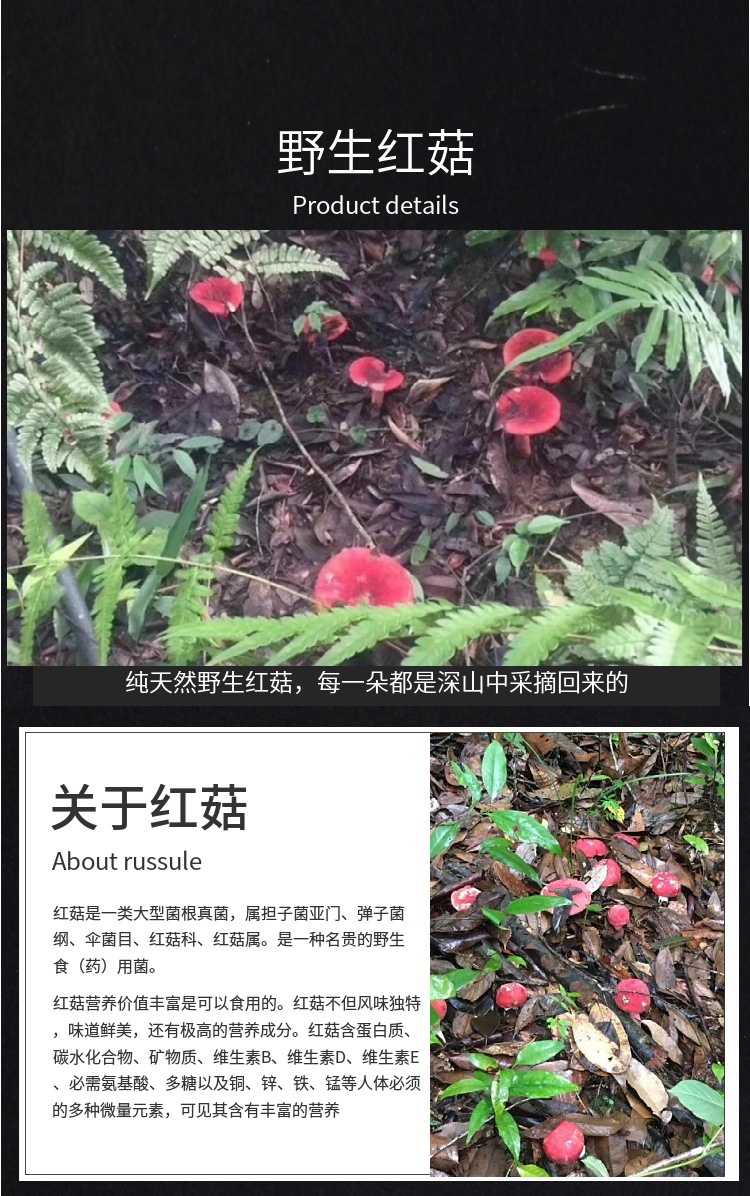 新红菇干货武夷山三明特产红蘑菇月子菇食用红菌香菇干煲汤包