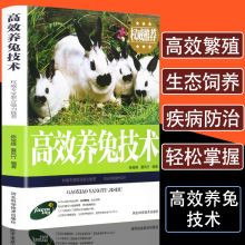 正版高效养兔技术兔病防治兔子养殖技术书籍大全规模化高产量獭兔