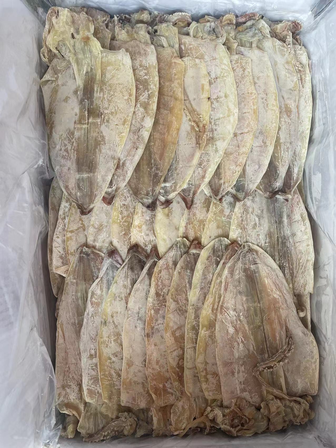 烧烤芥末鱿鱼干酒巴ktv专用大只a1-阿里巴巴