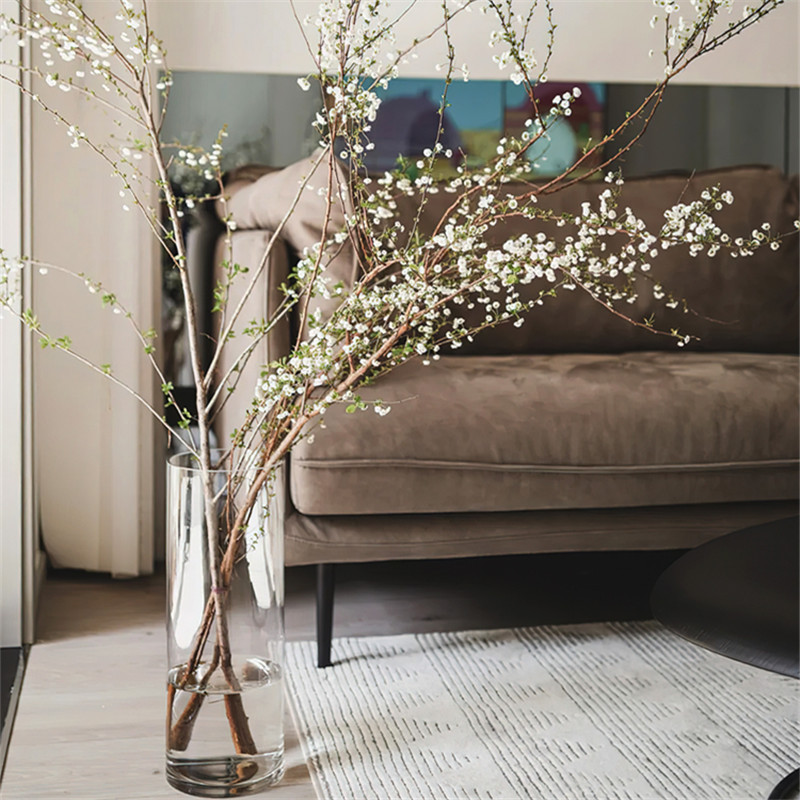 雪柳花瓶玻璃透明大号高款落地圆肚龙柳鲜枝富贵竹树