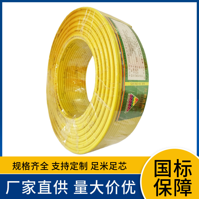 ZBBV 2.5 4 6 10 16 25 35 50 70 95 120 150 185 240平方塑铜线