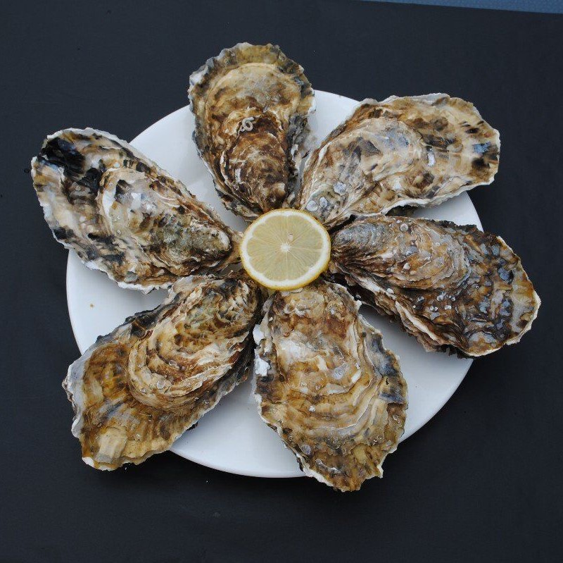 乳山生蚝山东乳山牡蛎生蚝三倍体生蚝新鲜海蛎子5斤装顺丰