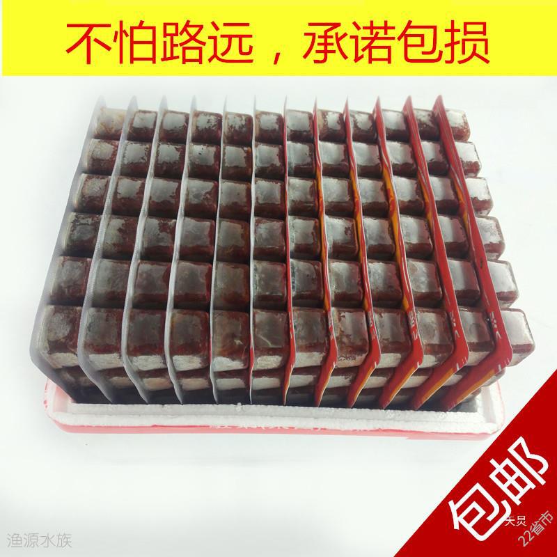 九河正品授权冰冻红血虫红虫赤虫冰冻红虫罗汉鱼金鱼