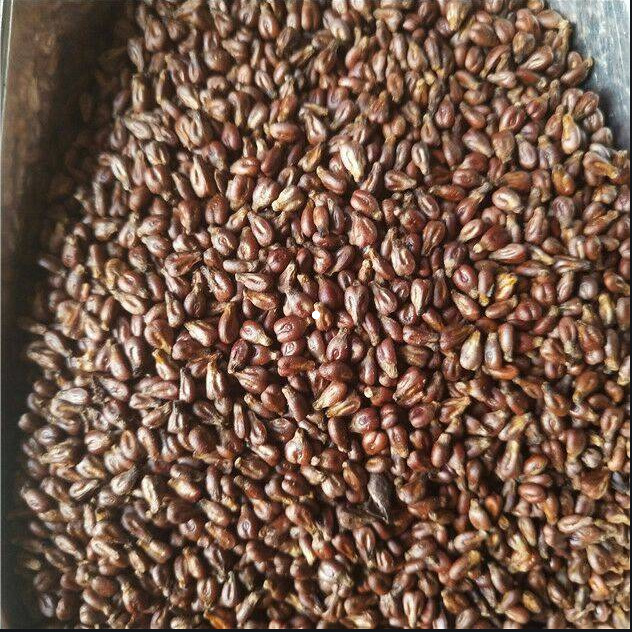 葡萄籽脱皮去皮机,葡萄籽扒皮机设备