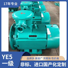 YE4电机 YE4-80M2-2   2级0.75KW电机  皖南YE5电机