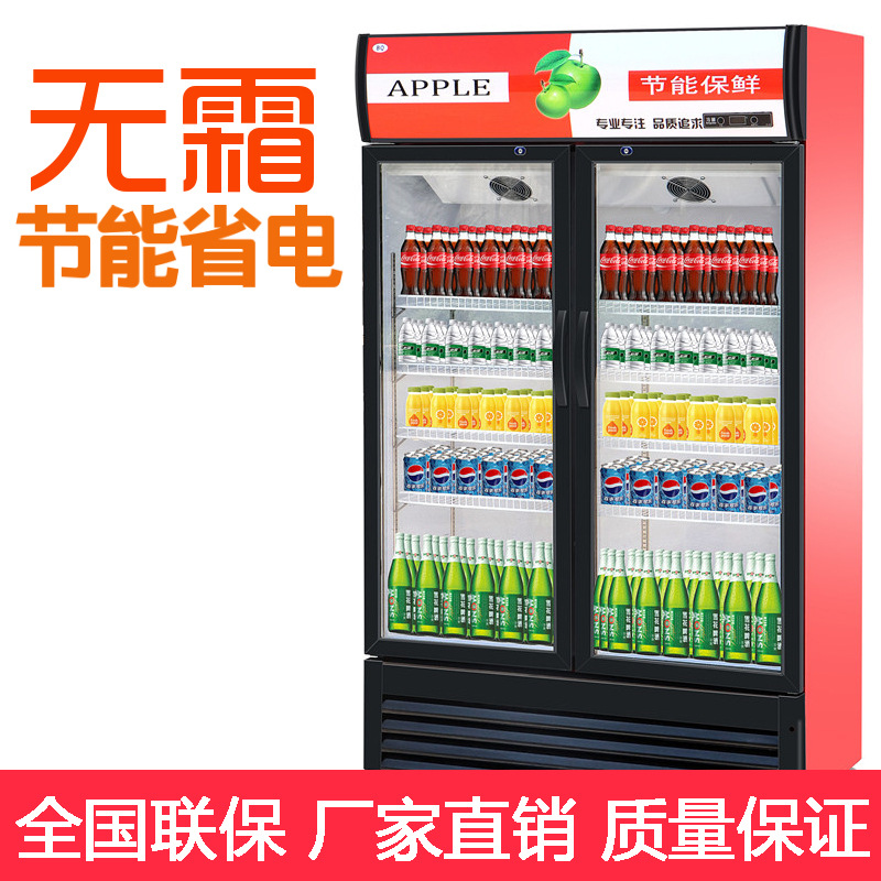 饮料啤酒展示柜商用冷藏保鲜柜蔬菜水果立式冰柜便利店单双门冰箱
