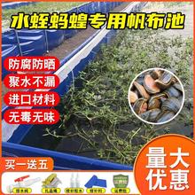 水蛭蚂蝗养殖箱帆布鱼池养殖防水帆布养鱼水箱刀刮布水池篷布