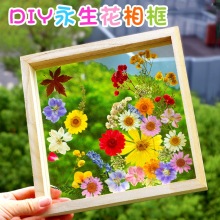 手工diy压花相框制作材料包装饰品绘画框透明玻璃干花植物标本框