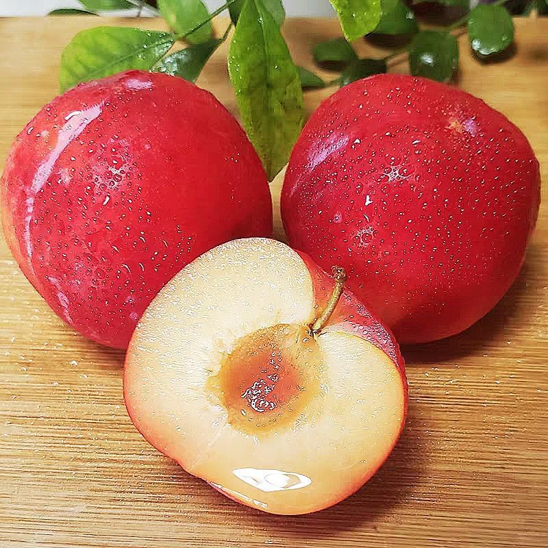 新鲜红李子孕妇水果安格拉大李子酸甜脆爽黑布林四川脱骨李脆红李