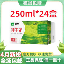 4月产全脂纯牛奶250ml*24盒200ml整箱经典礼盒装早餐送礼