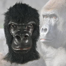 万圣节恐怖面具黑猩猩乳胶头套派对恶搞道具cosplay大猩猩面具