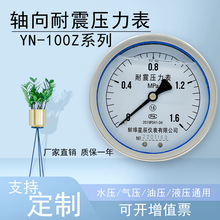 YN100Z轴向无边耐震压力表充油抗震液压油压水压真空表背接式