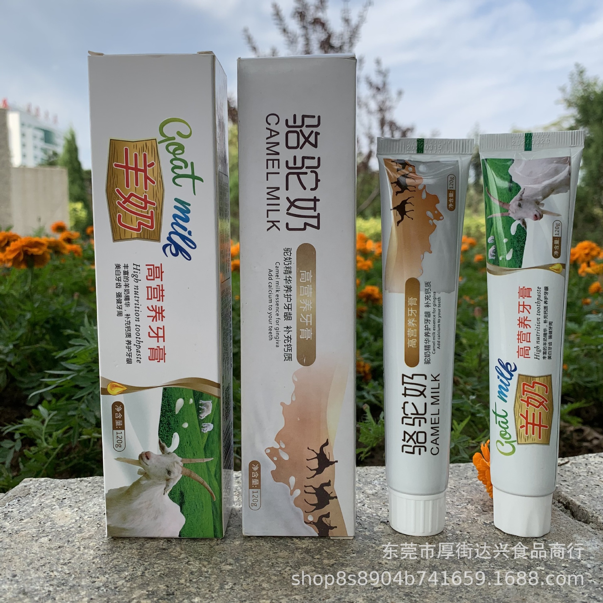羊奶牙膏120g驼奶牙膏 羊奶洗发水驼奶洗发水羊奶店礼品旅销会销