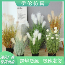 伊伦仿真芦苇盆栽绿植盆景北欧家居装饰摆件狗尾巴草蒲公英仿真树