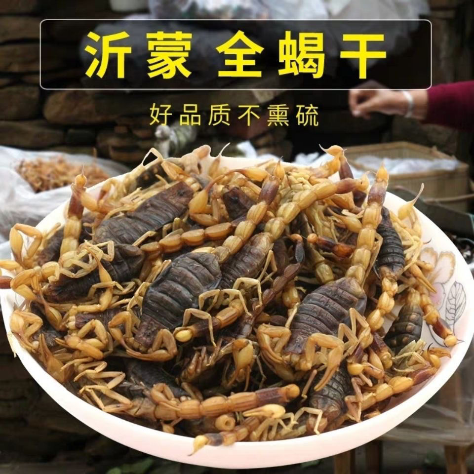 新货蝎子全虫清水干货干蝎子蝎子清水蝎子包邮-阿里巴巴